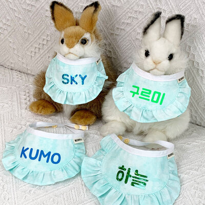 콩다하우스